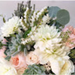 Meet your Posher, Karla